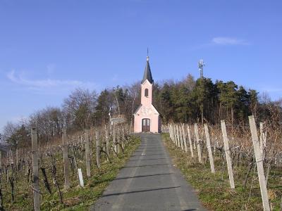Eroeffnungsfahrt 2005 - Buschenschank Nagl - St. Stefan im Rosental (8).jpg